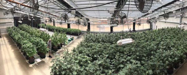 sealed greenhouses